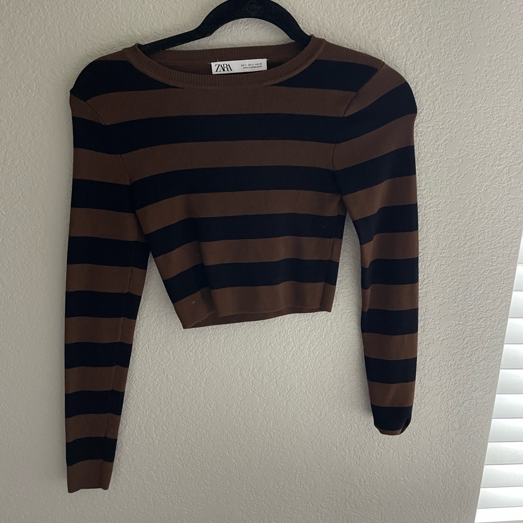 Zara Black And Brown Striped Crop Top